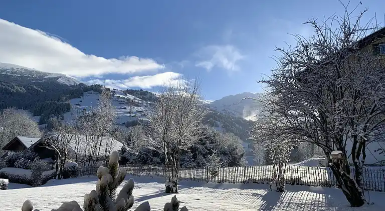 Feriebolig i Lenk im Simmental