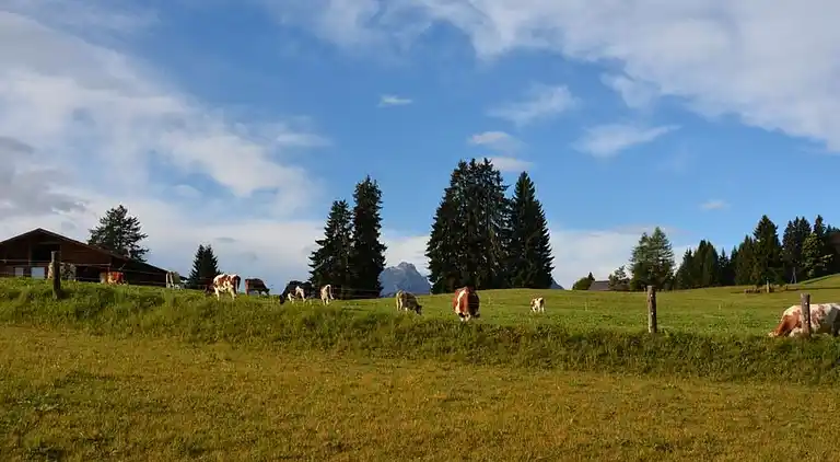 Holiday home in Gstaad