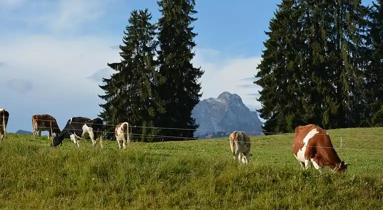 Holiday home in Gstaad