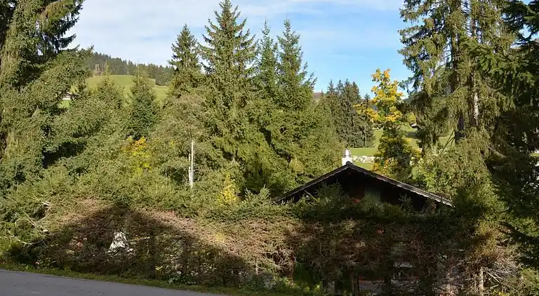 Holiday home in Gstaad