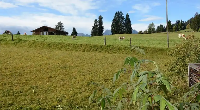 Holiday home in Gstaad