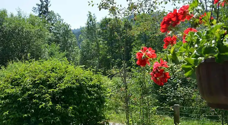 Holiday home in Gstaad