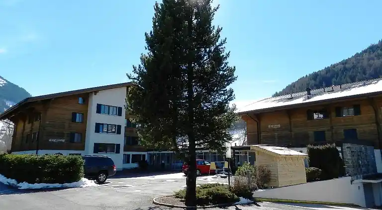 Holiday home in Gstaad