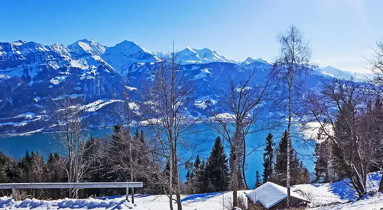 Holiday home in Beatenberg