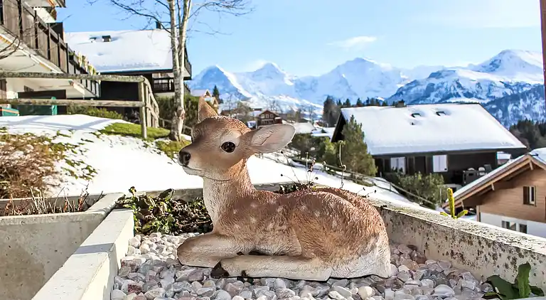 Feriebolig i Beatenberg