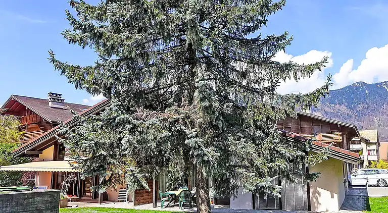 Holiday home in Wilderswil