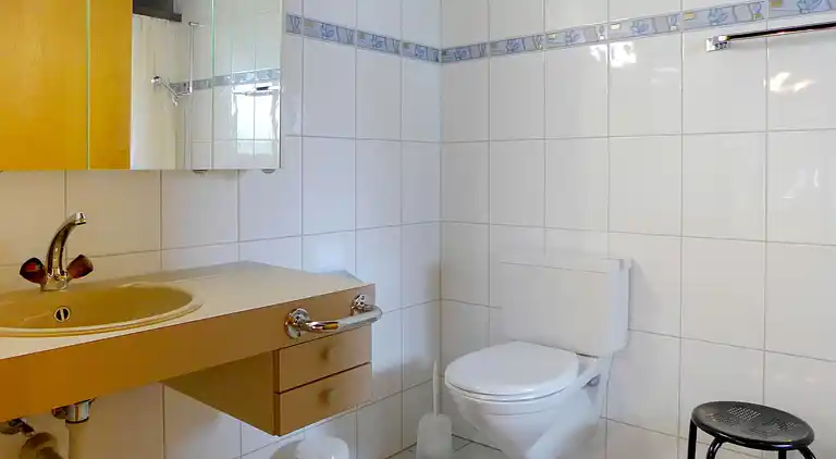 Holiday home in Wilderswil