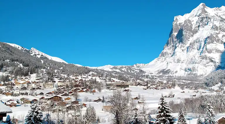 Feriebolig i Grindelwald