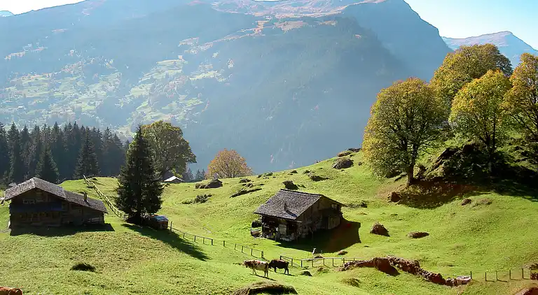 Holiday home in Grindelwald