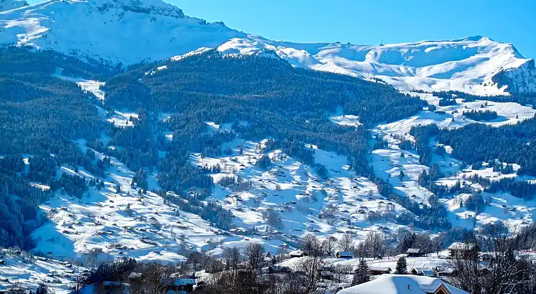 Holiday home in Grindelwald