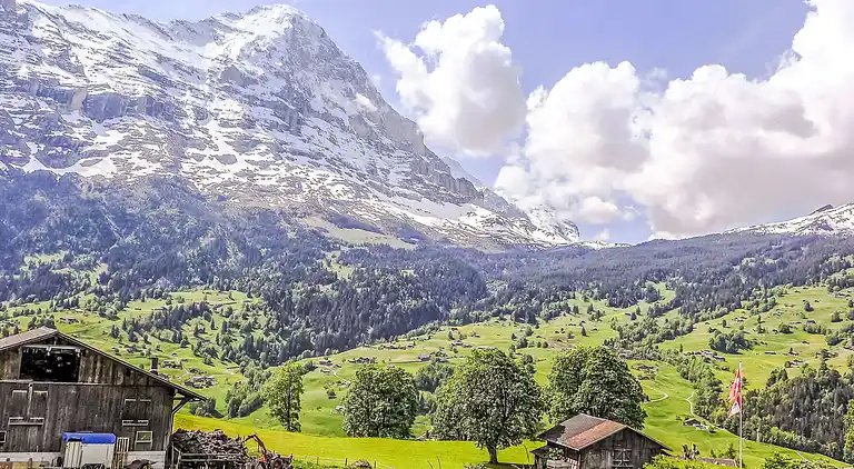 Feriebolig i Grindelwald