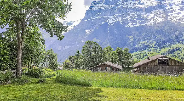 Feriebolig i Grindelwald