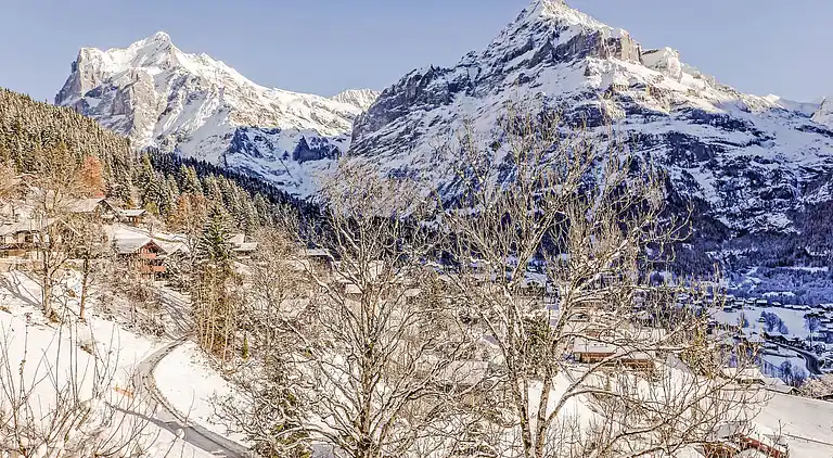 Feriebolig i Grindelwald