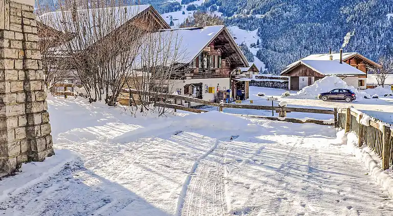 Feriebolig i Grindelwald