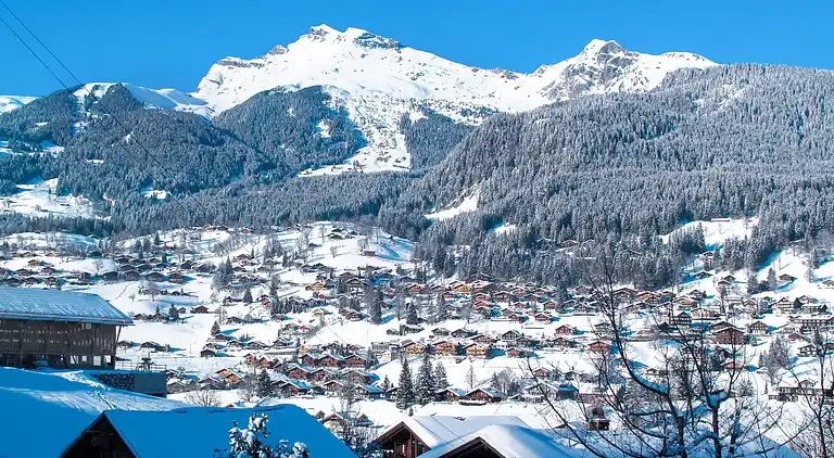 Feriebolig i Grindelwald