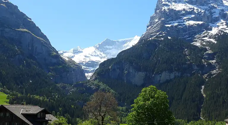 Feriebolig i Grindelwald