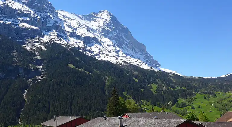 Feriebolig i Grindelwald