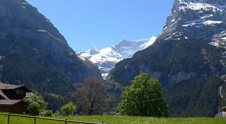 Feriebolig i Grindelwald