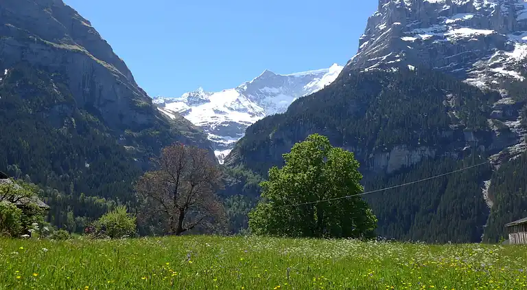 Feriebolig i Grindelwald