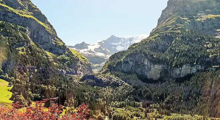 Feriebolig i Grindelwald
