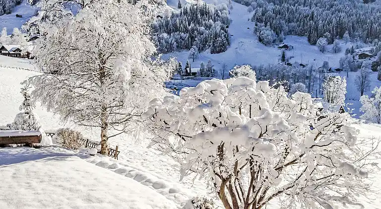 Feriebolig i Grindelwald