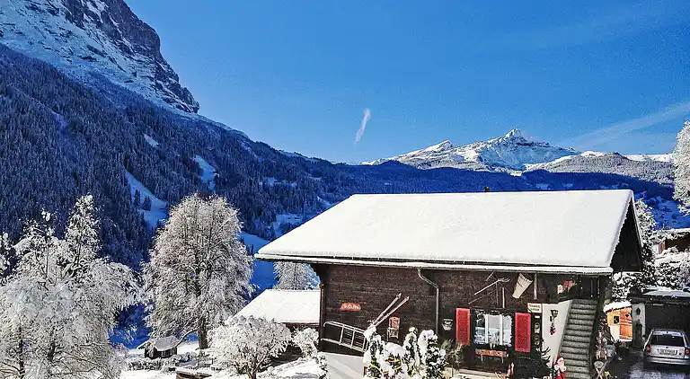 Feriebolig i Grindelwald