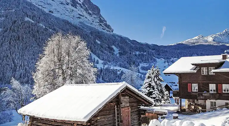 Feriebolig i Grindelwald
