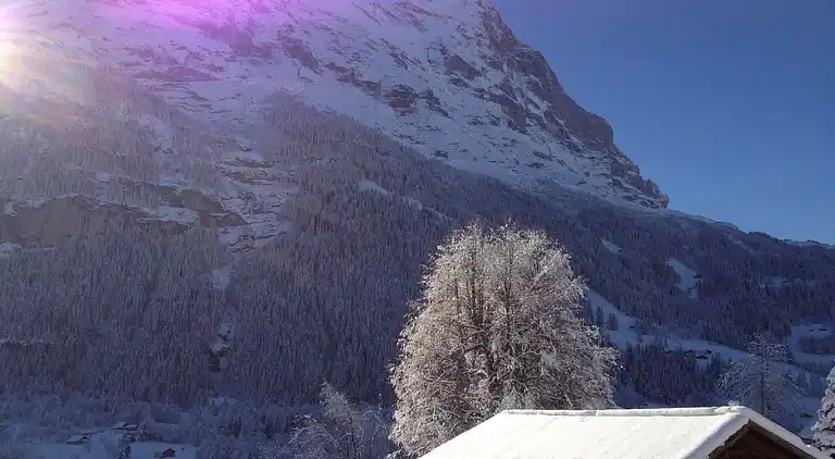 Feriebolig i Grindelwald