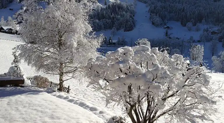 Feriebolig i Grindelwald
