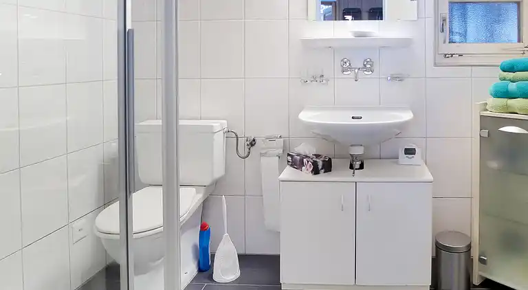 Holiday home in Stechelberg