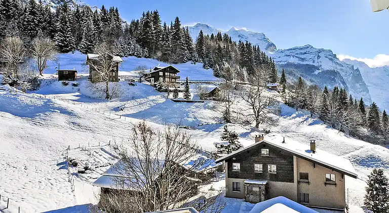 Holiday home in Wengen