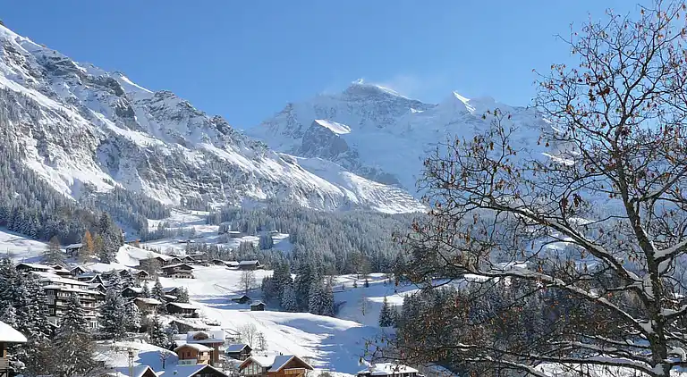 Holiday home in Wengen