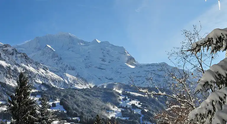 Feriebolig i Wengen