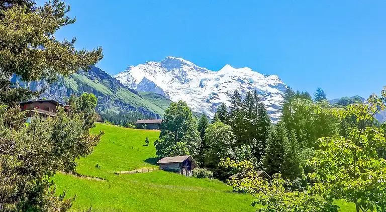 Holiday home in Wengen