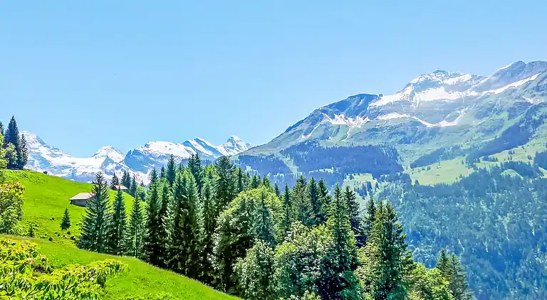 Holiday home in Wengen