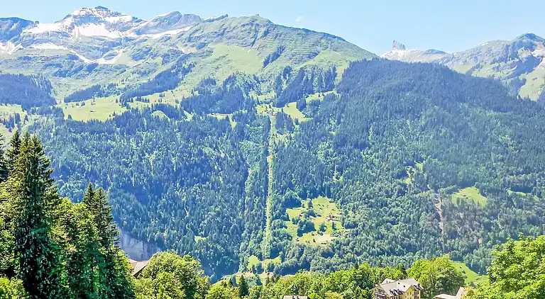 Holiday home in Wengen