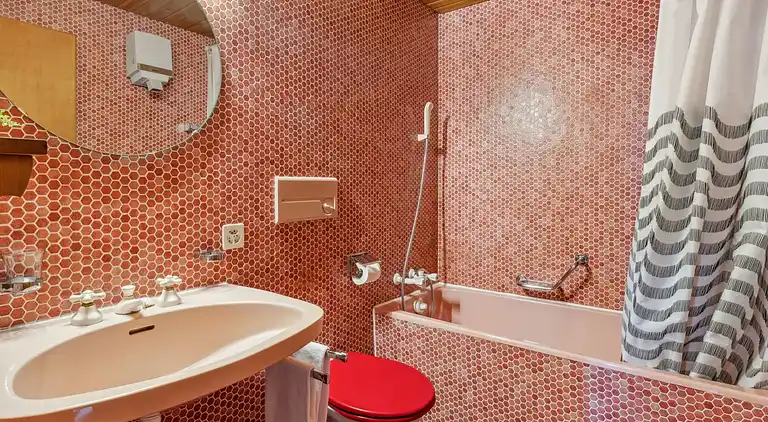 Holiday home in Wengen