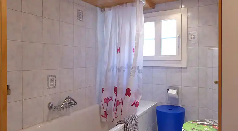 Holiday home in Brienzwiler