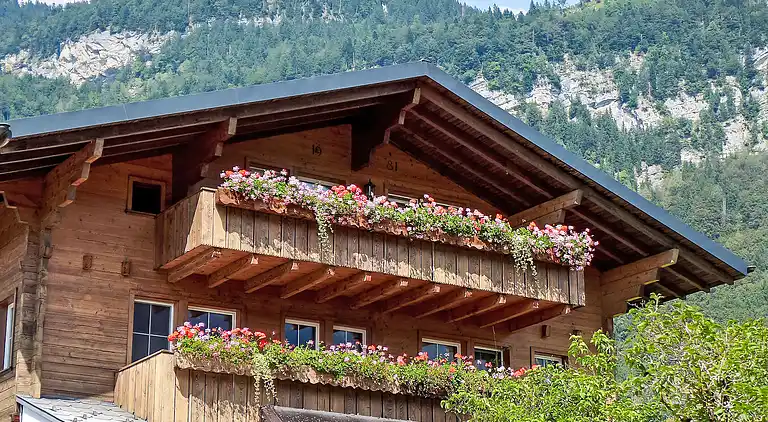 Holiday home in Brienzwiler