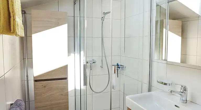 Holiday home in Brienzwiler