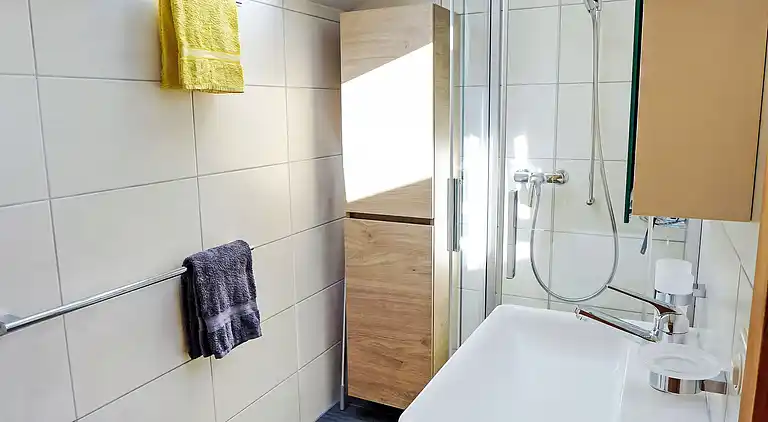 Holiday home in Brienzwiler