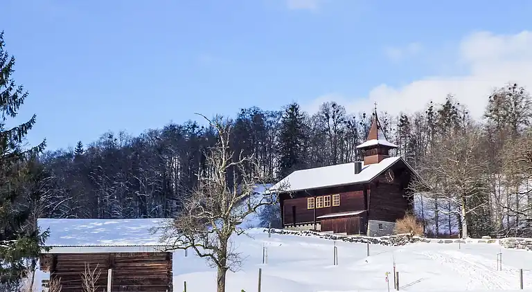 Holiday home in Brienzwiler