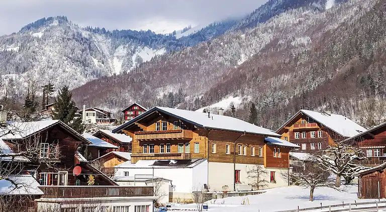 Holiday home in Brienzwiler