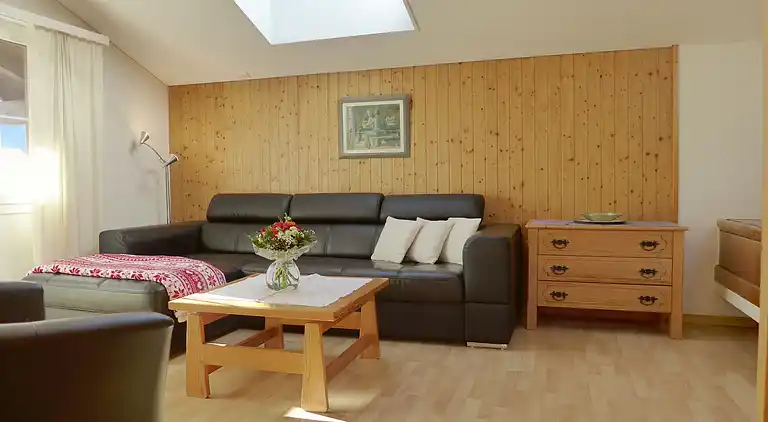 Holiday home in Brienzwiler