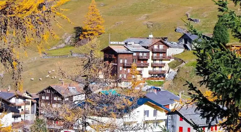 Holiday home in Saas-Grund