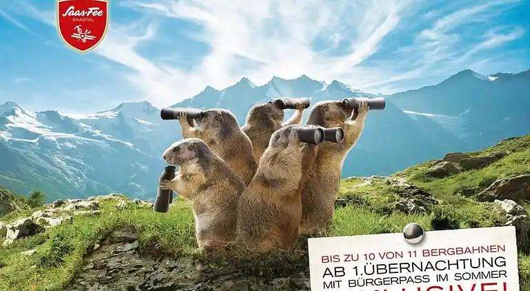 Holiday home in Saas-Grund