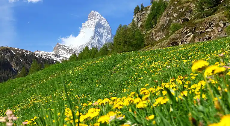 Casa vacanze in Zermatt