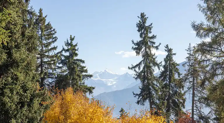 Casa de vacaciones en Mollens