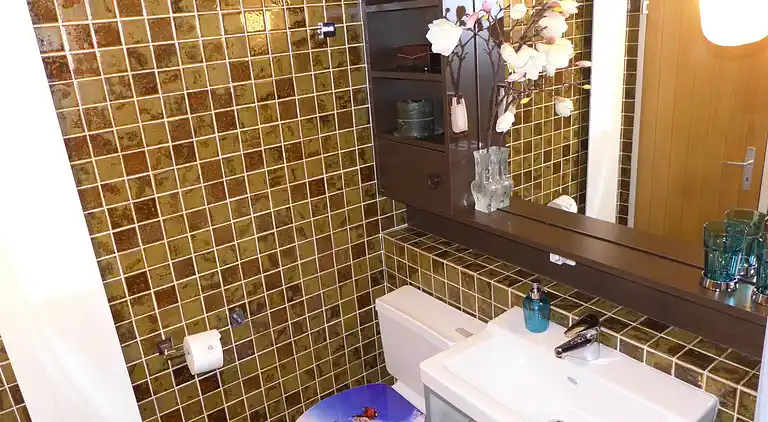 Feriebolig i Aminona-sur-Sierre