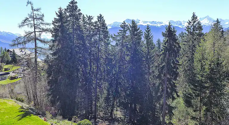 Feriebolig i Aminona-sur-Sierre